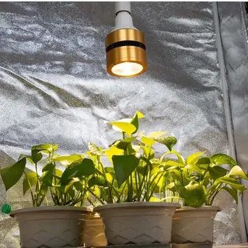 COB LED Crecen la Luz de la Bombilla de 120W 150W Espectro Completo LED Planta Crecer Lámpara de 110V 220V para las Plantas de Interior de efecto Invernadero de Verduras Floración la Floración